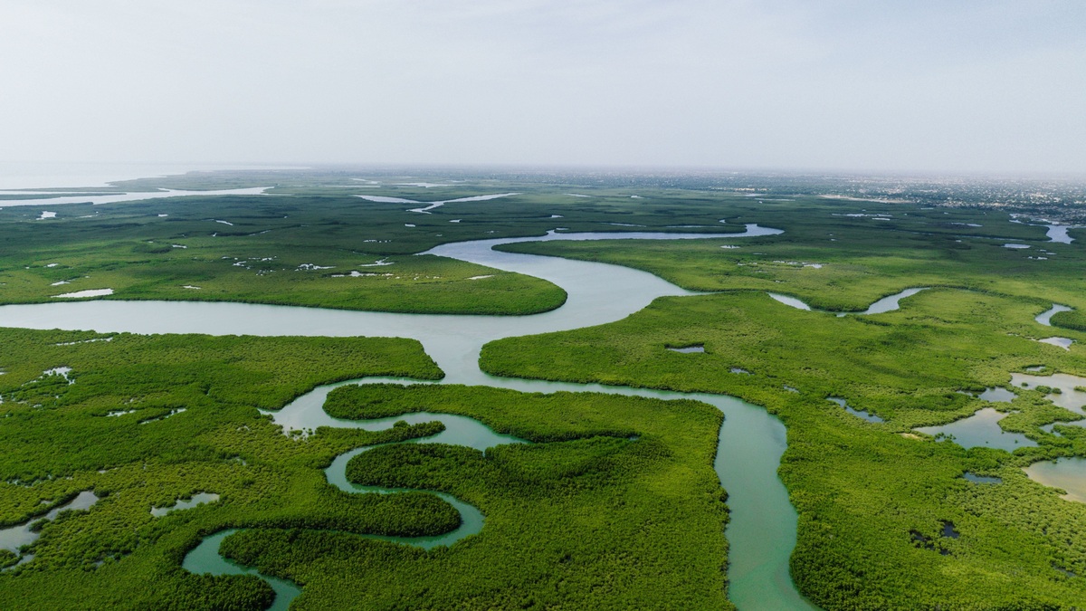 Freshwater_river_winding_through_wetland