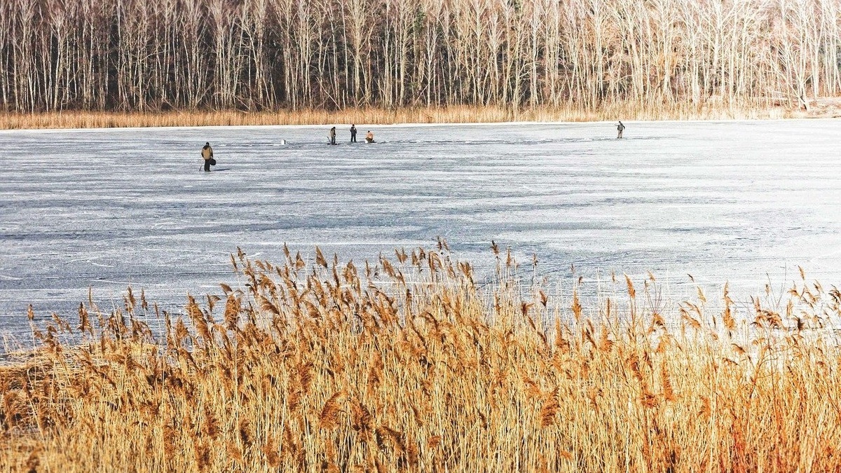 Frozen_lake_in_winter