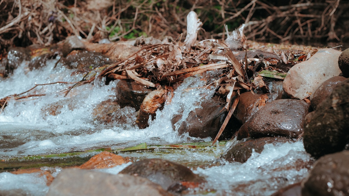 A tranquil stream cascading over rocks in a forest setting, capturing the essence of nature