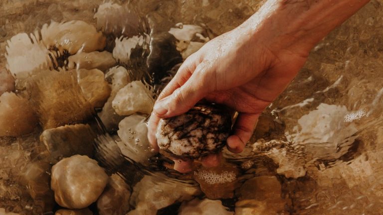 A closeup of a hand holding a stone in shallow water with pebbles