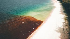 From above of clear turquoise water with sharp border with water with algal bloom near sandy coastline in sunny day