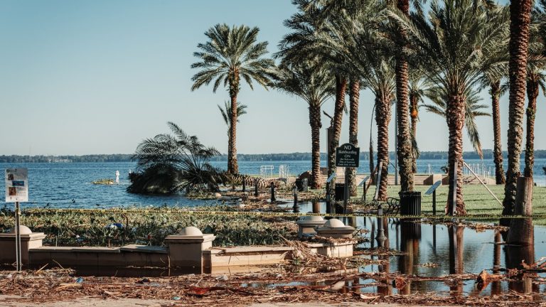 Flooded coastal area with palm trees and an occluded path post-storm damage in Florida