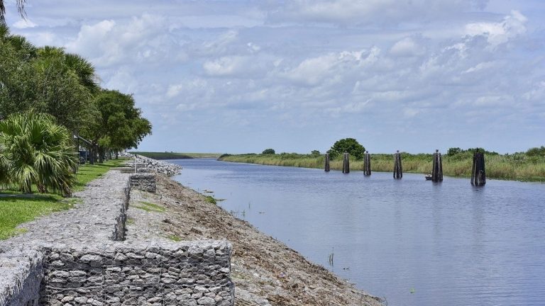 Lake_okeechobee_shoreline_and_water