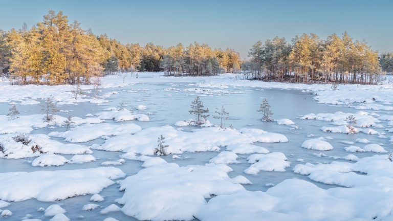 Serene winter scene with snow-covered forest and frozen lake under clear blue sky