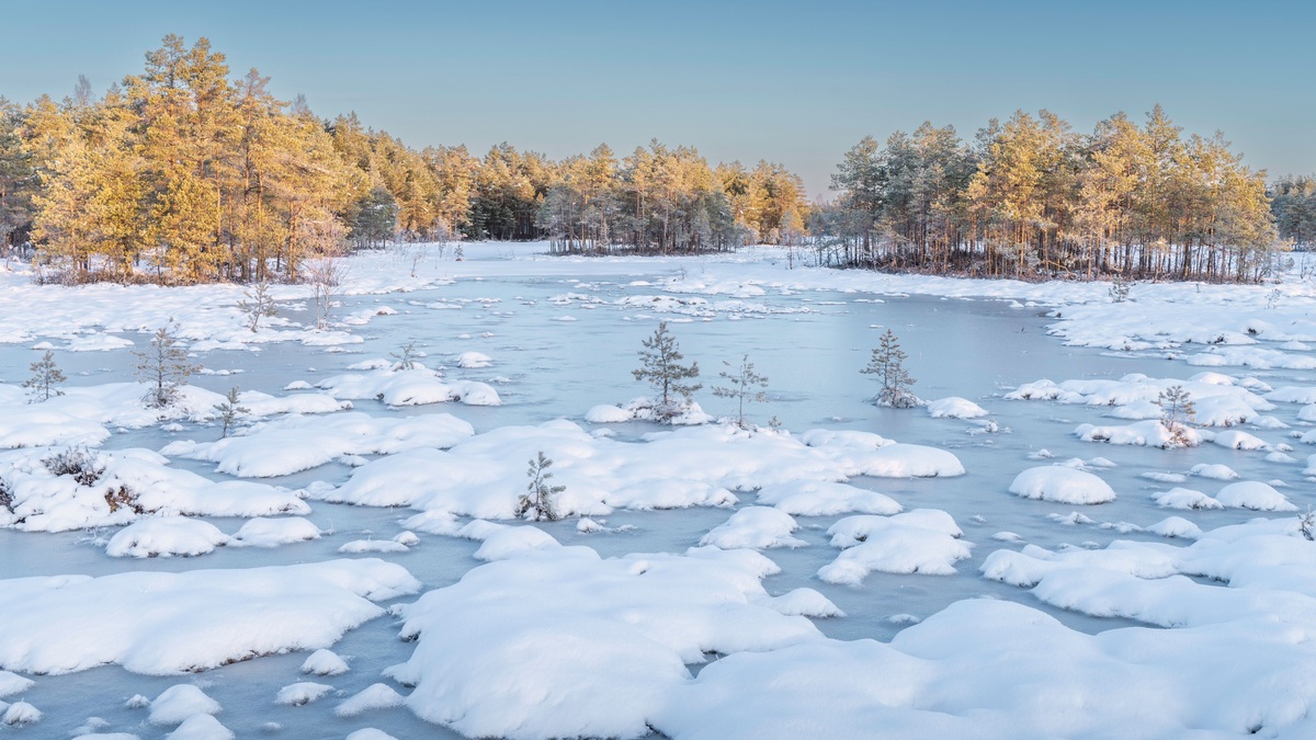 Serene winter scene with snow-covered forest and frozen lake under clear blue sky