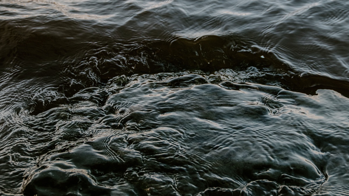 A detailed view of dark wavy water with textured surface, capturing natural ripples