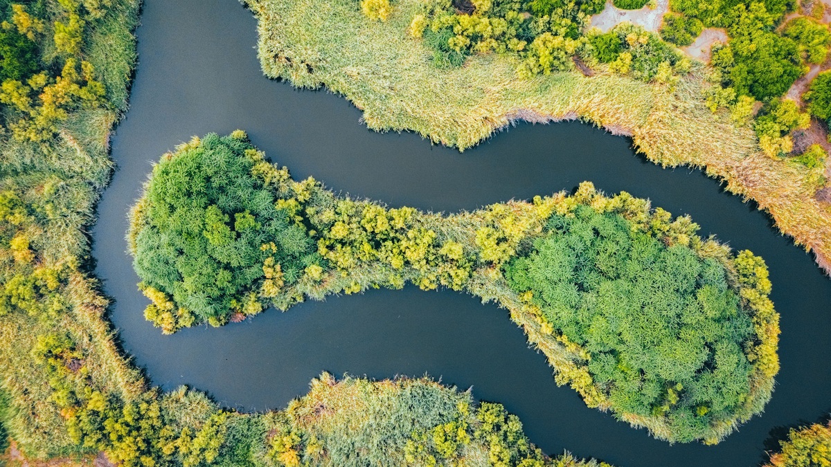 A stunning aerial view of a meandering river surrounded by vibrant green foliage, showcasing natural beauty