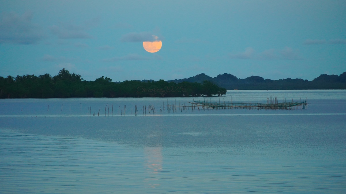 A serene full moon rising over peaceful waters and lush landscape in Eastern Visayas, Philippines