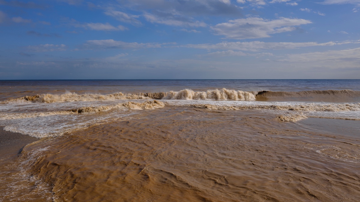 Muddy_runoff_entering_coastal_water