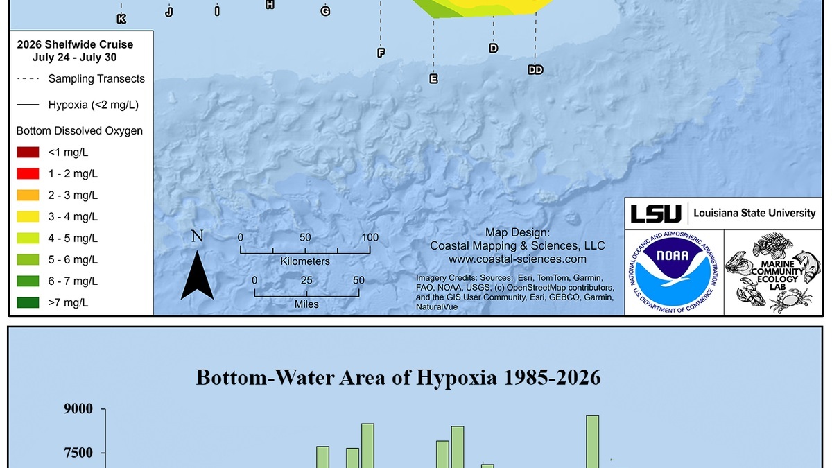 NOAA map and chart showing the measured 2026 hypoxic zone in the Gulf