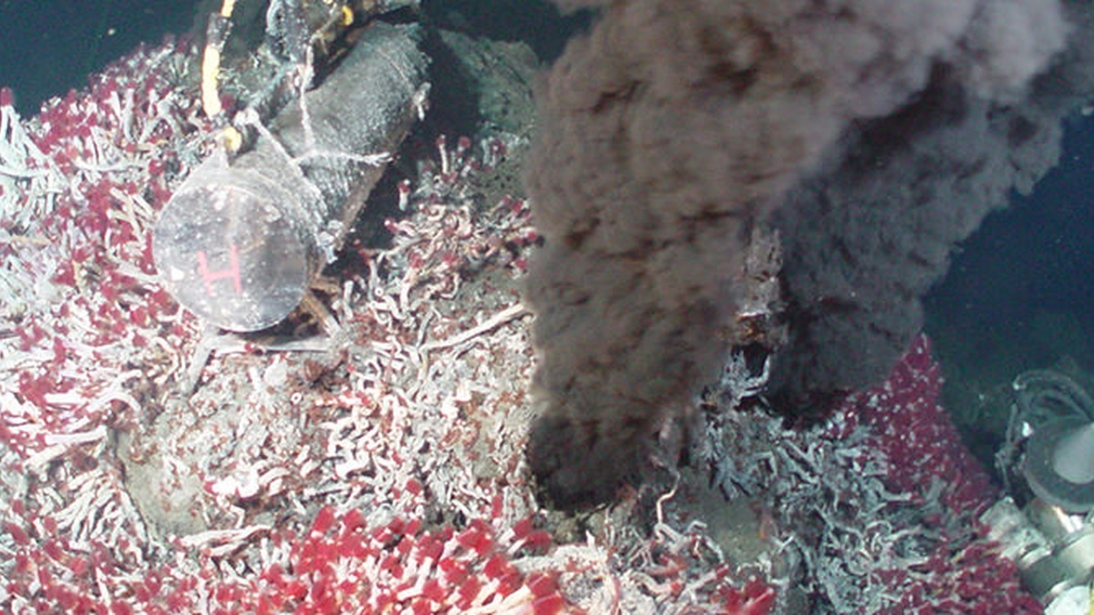 Tube worms and microbial life surrounding a deep-sea hydrothermal vent