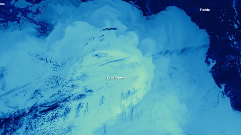 NOAA visualization of the warm Loop Current in the Gulf