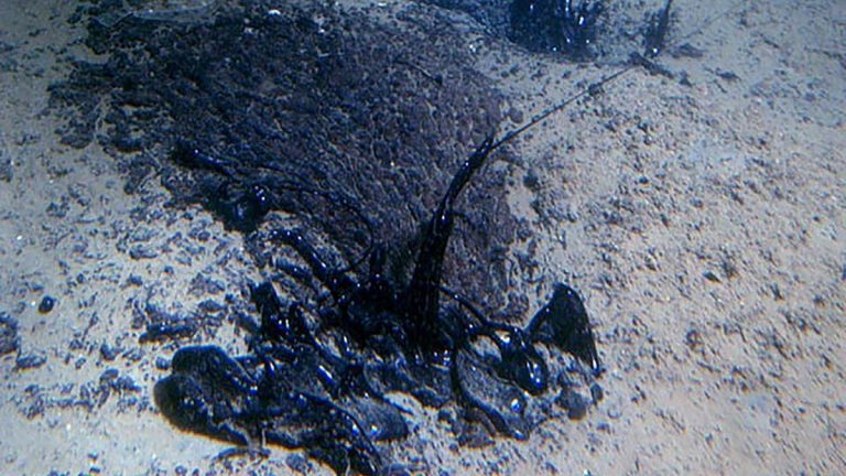 Natural petroleum seep rising from the seafloor into ocean water