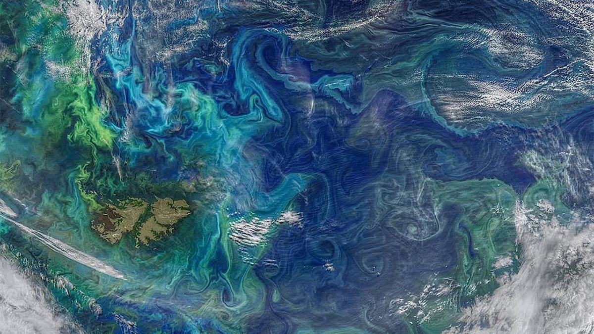 Satellite view illustrating a rotating ocean eddy