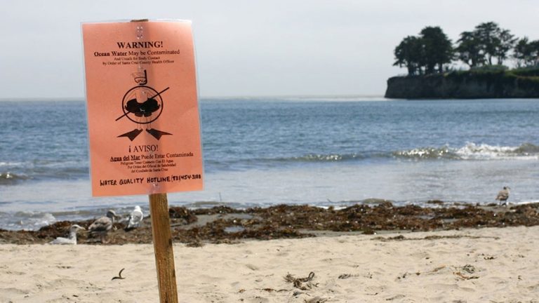A coastal water warning sign illustrating a human health risk