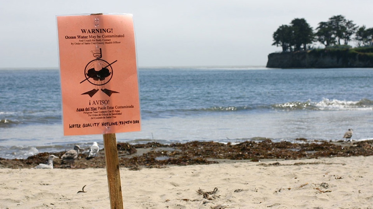 A coastal water warning sign illustrating a human health risk