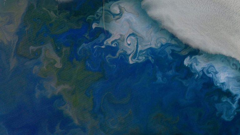 Satellite view of a large phytoplankton bloom in the ocean