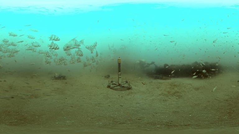 Hydrophone mounted on the seafloor at Gray's Reef National Marine Sanctuary