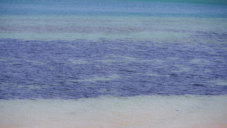 A tranquil view of ocean water with layered blue hues creating a calming texture