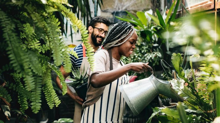 People tending plants in greenhouse