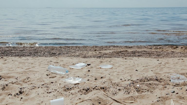 Plastic_debris_on_remote_beach