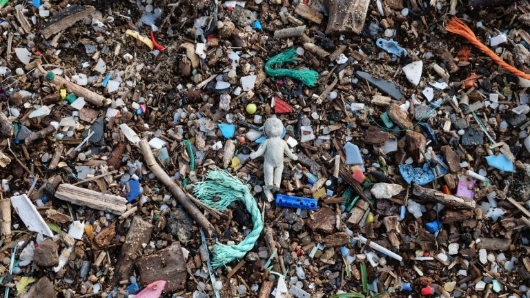 Plastic and wood debris scattered on a beach, highlighting pollution issues