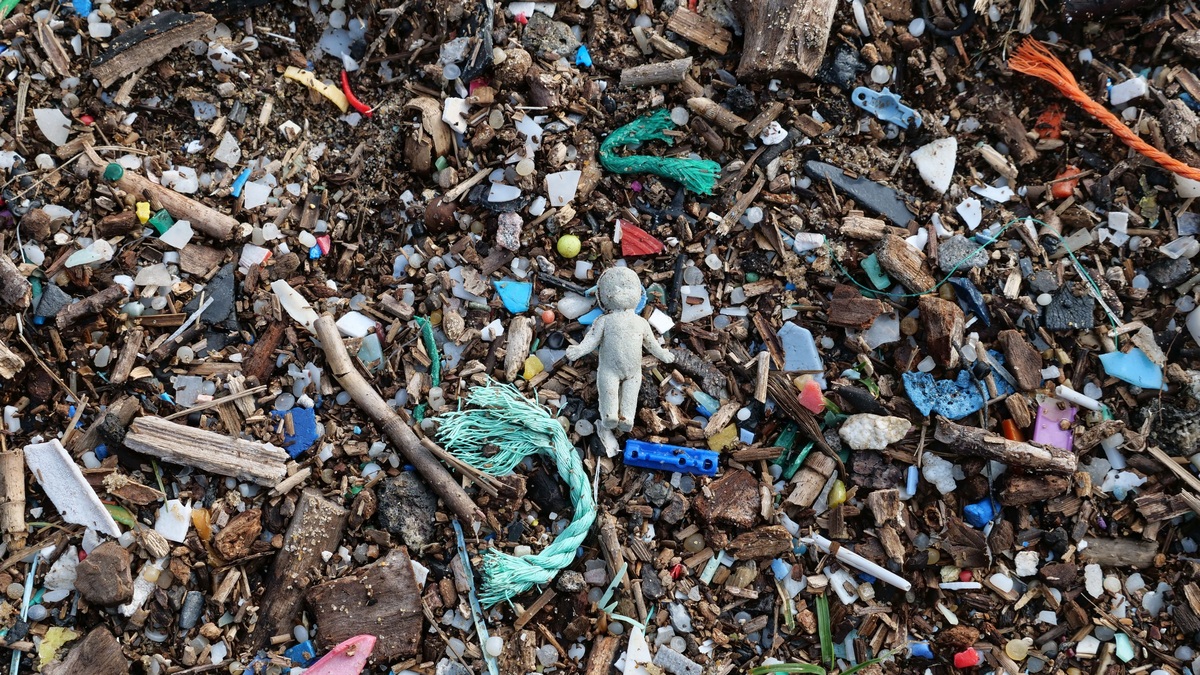 Plastic and wood debris scattered on a beach, highlighting pollution issues