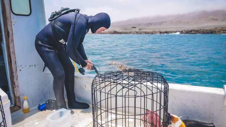 Professional diver anxiety
