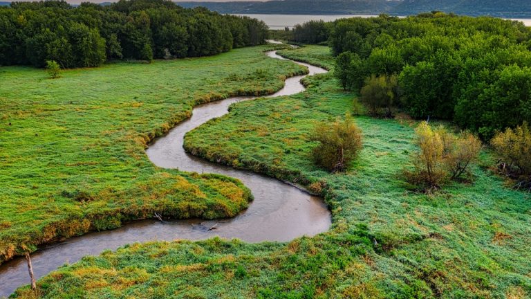 River_channel_winding_through_a_wetland