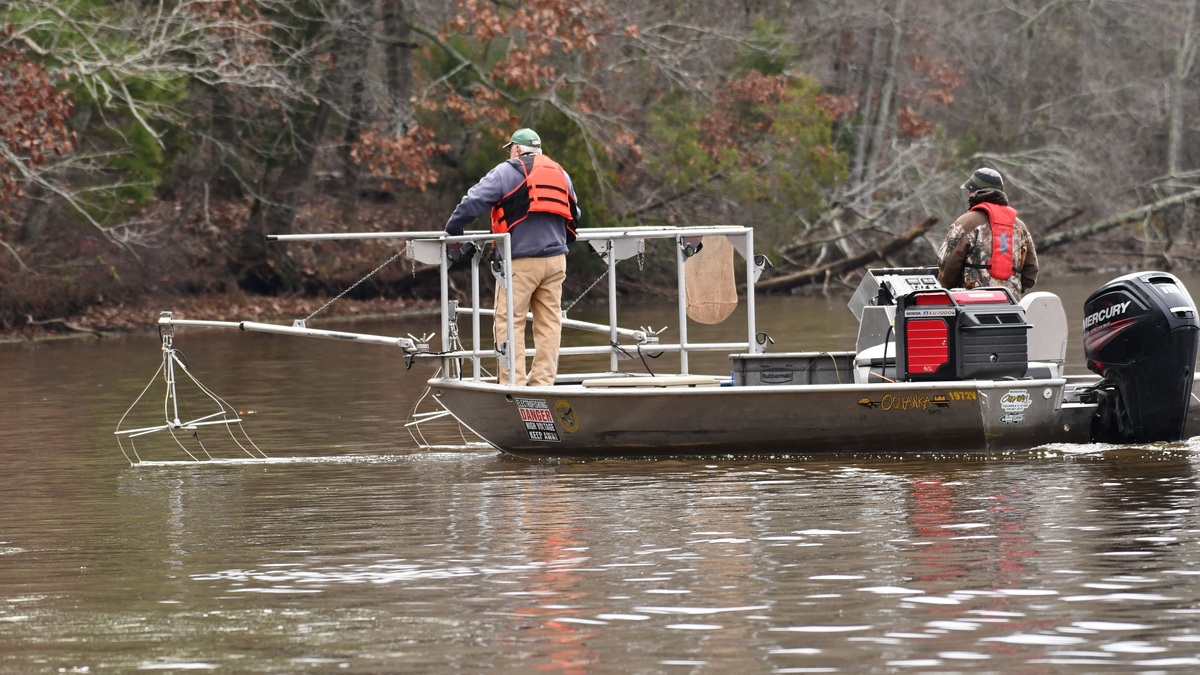 Two men conducting an electrofishing survey on a river in Decatur, Alabama