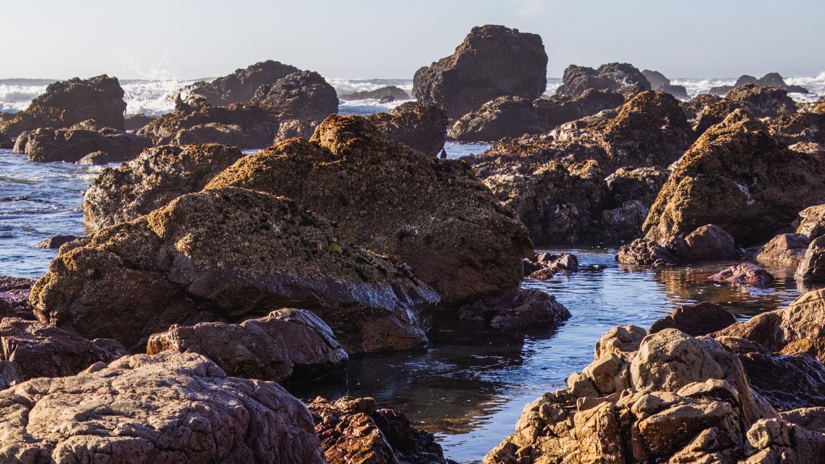 Rocky_tide_pool_beside_the_ocean
