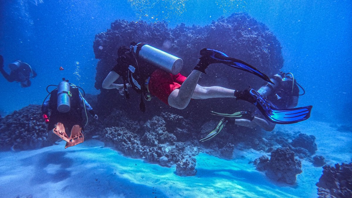 Three scuba divers working together underwater