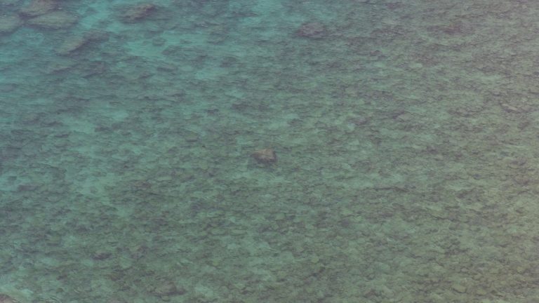 Shallow_water_over_a_continental_shelf