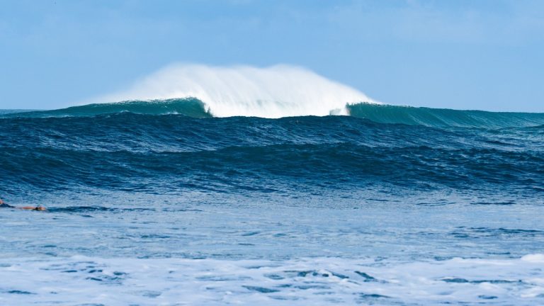 Steep_ocean_wave_profile