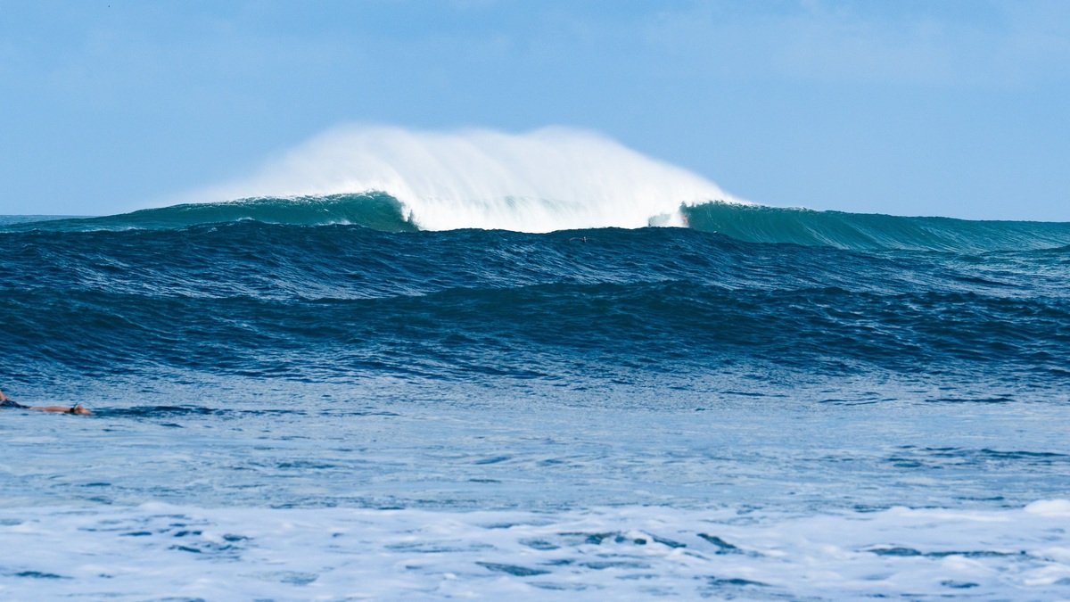 Steep_ocean_wave_profile