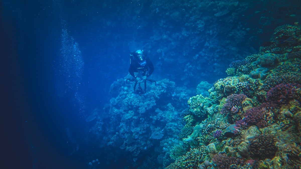 Steep_walls_of_an_underwater_canyon