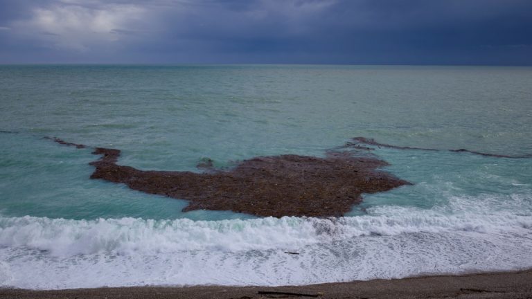 Dramatic seascape showing algae drift and debris on the shore after a storm