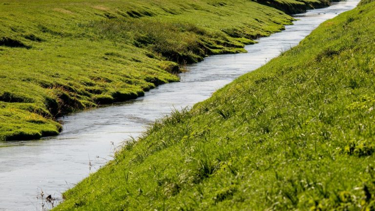 Stream_channel_winding_through_grass