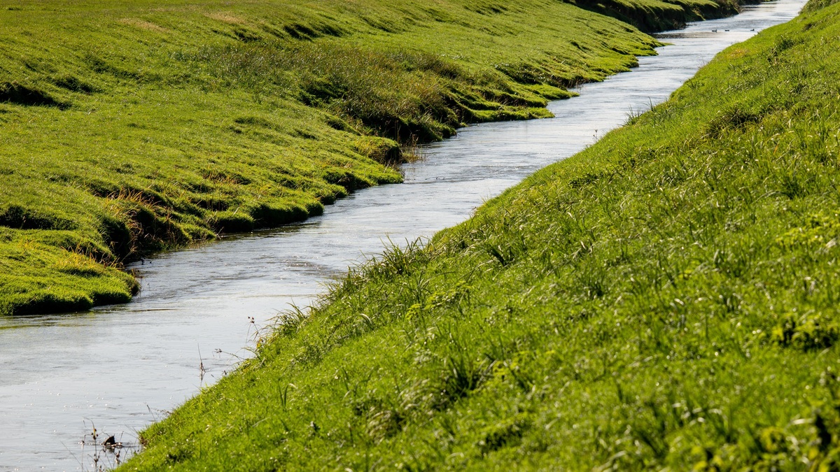 Stream_channel_winding_through_grass