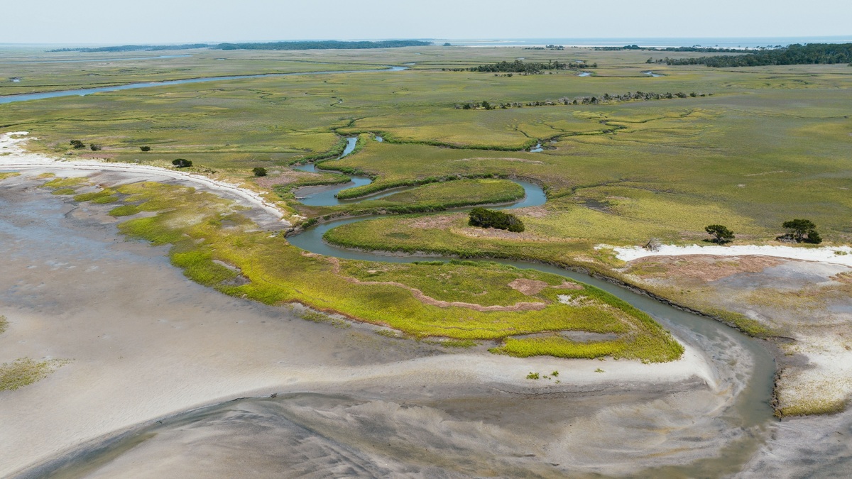 Tidal_creek_winding_through_a_salt_marsh