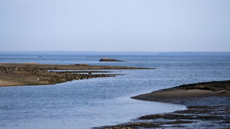 Tranquil coastal shoreline at low tide with calm blue ocean and distant horizon