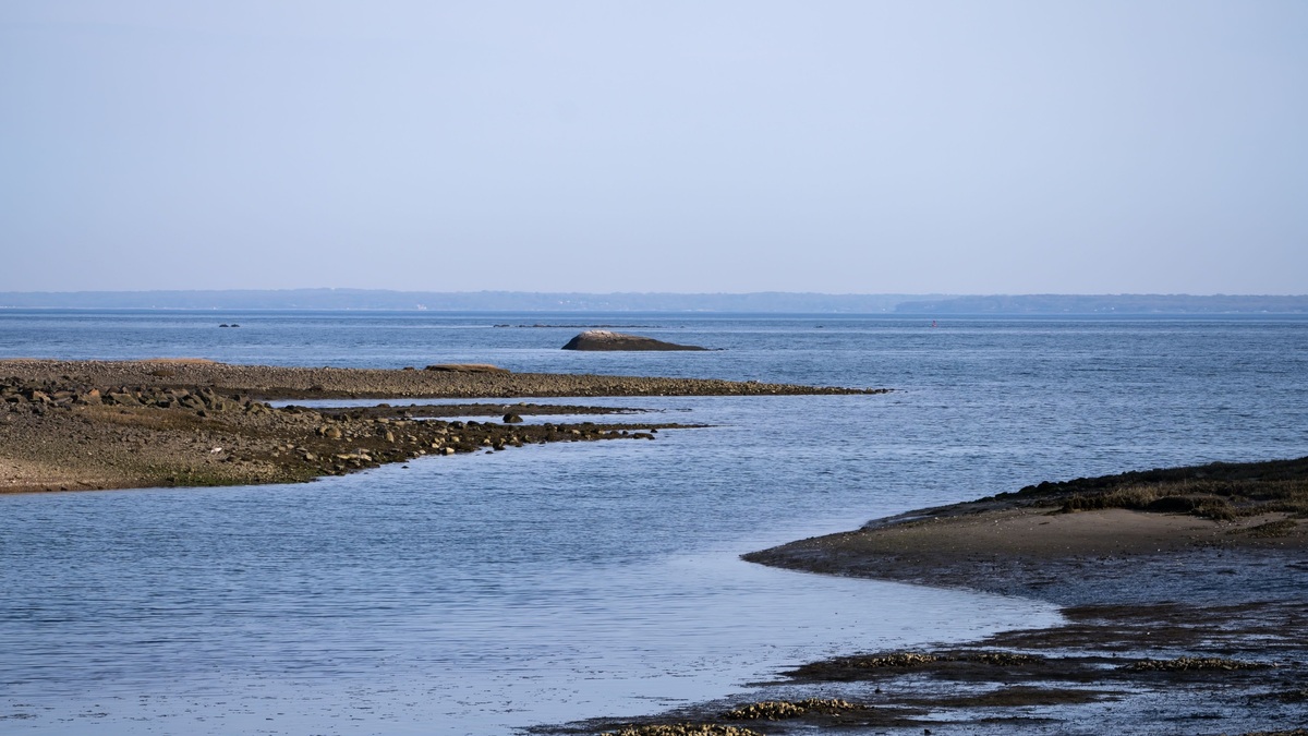 Tranquil coastal shoreline at low tide with calm blue ocean and distant horizon