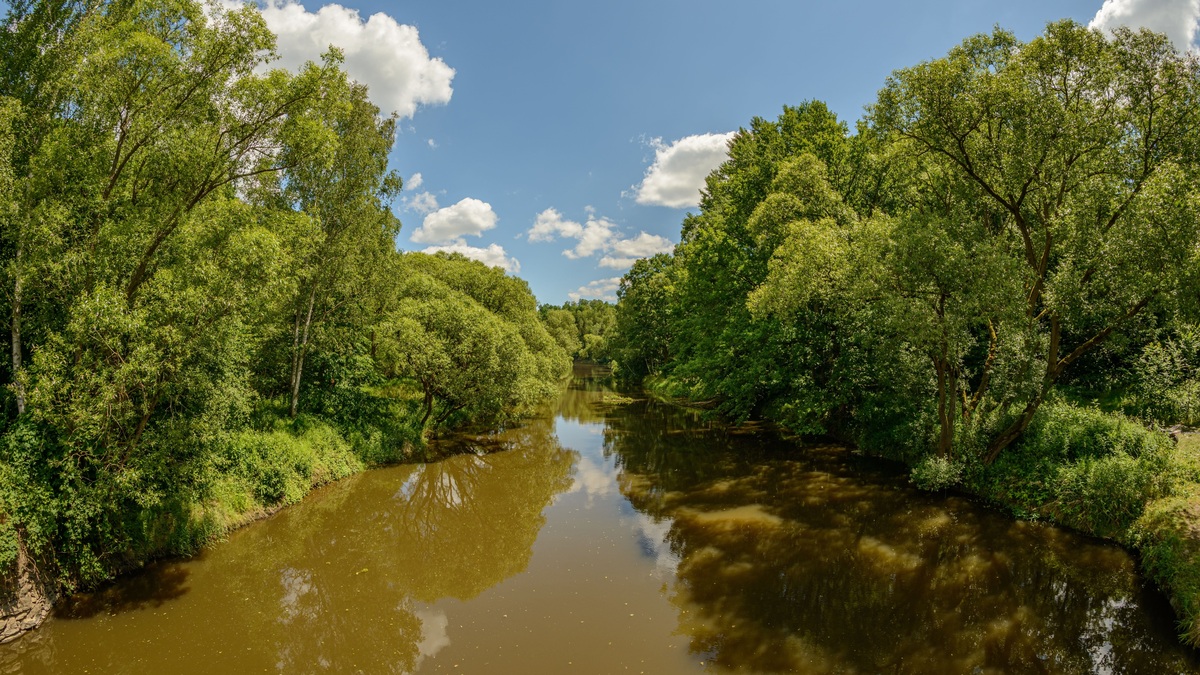 Turbid_brown_river_water