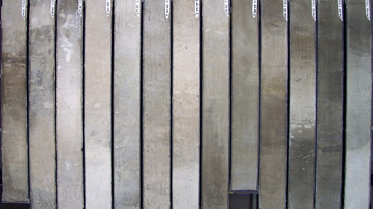 Marine sediment cores collected for oceanographic research