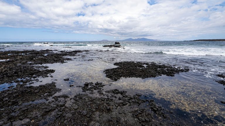 Volcanic_rock_along_the_ocean_floor