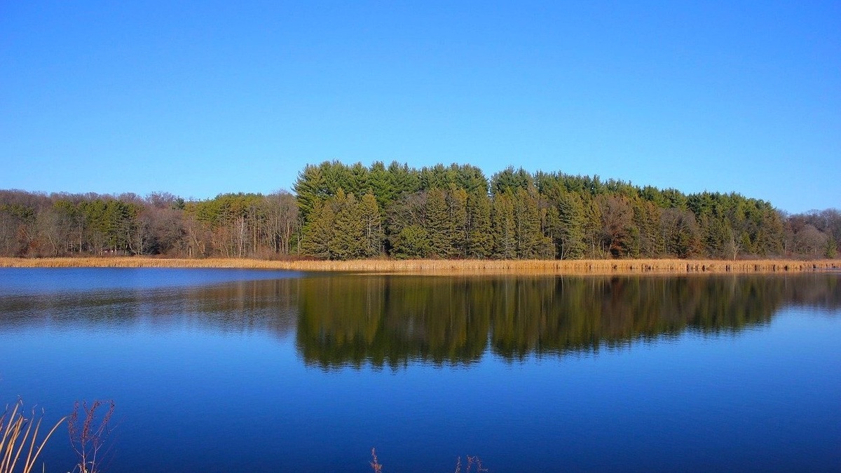 Wisconsin_lake_and_forest