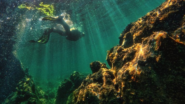 A scuba diver exploring an underwater reef