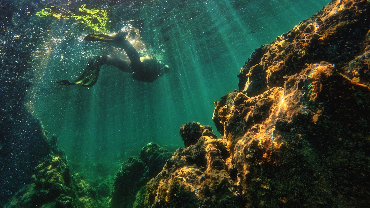 A scuba diver exploring an underwater reef