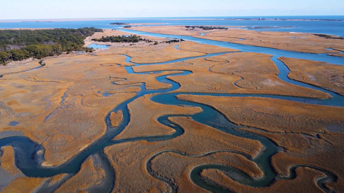An aerial view of winding coastal wetlands and waterways