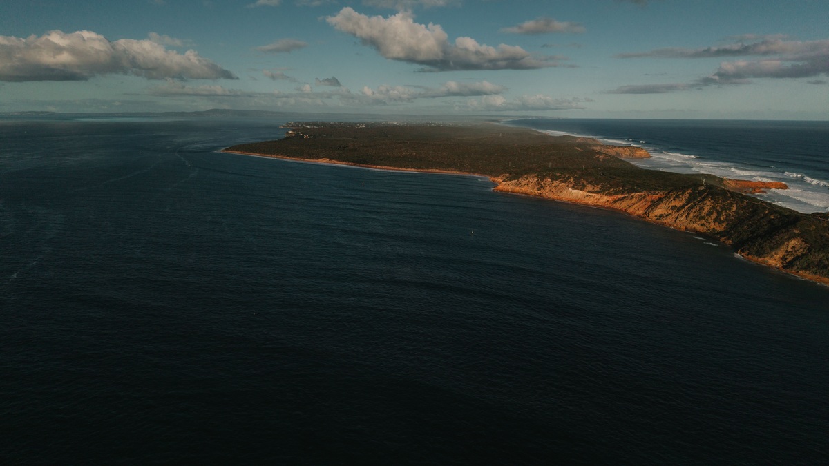 An aerial view of a rugged coastline